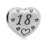 Stainless Steel Beads AA156 VNISTAR Heart & Family Beads