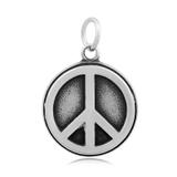 Steel Link Charm AAT385 VNISTAR Charms