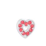 Alloy Floating Charms HA069 VNISTAR Metal Charms