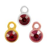 Stainless Steel Birthstone Charms PJ160-1 VNISTAR Steel Small Charms