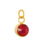 Stainless Steel Gold Plated Birthstone Charm PJ198G-1 VNISTAR Stainless Steel Charms