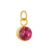 Stainless Steel Gold Plated Birthstone Charm PJ198G-10 VNISTAR Link Charms