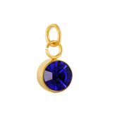 Stainless Steel Gold Plated Birthstone Charm PJ198G-11 VNISTAR Metal Charms