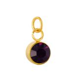 Stainless Steel Gold Plated Birthstone Charm PJ198G-4 VNISTAR Metal Charms