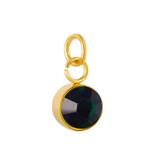 Stainless Steel Gold Plated Birthstone Charm PJ198G-5 VNISTAR Metal Charms