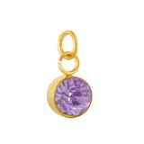 Stainless Steel Gold Plated Birthstone Charm PJ198G-8 VNISTAR Link Charms