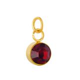 Stainless Steel Gold Plated Birthstone Charm PJ198G-9 VNISTAR Link Charms
