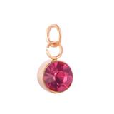 Stainless Steel Rose Gold Plated Birthstone Charm PJ198R-10 VNISTAR Stainless Steel Charms